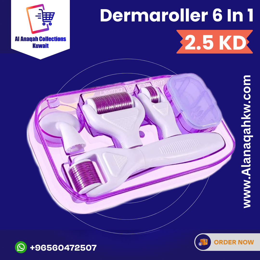 Dermaroller 6 In 1